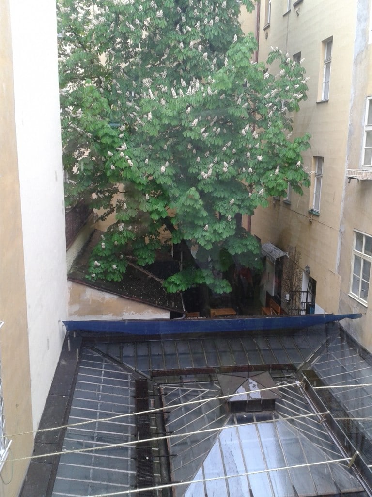 למכירה דירת 2 חדרים יפהפיה להשקעה בפראג 1 (76 מ"ר) — תמונה 36
