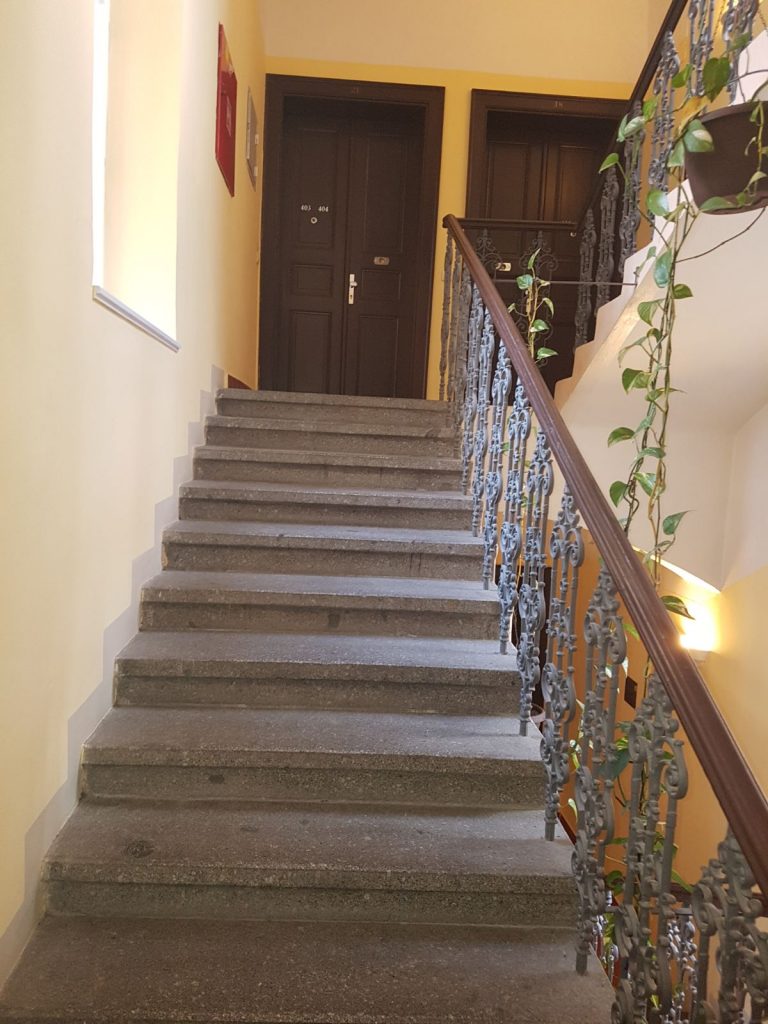פרוייקט חדש של דירות משופצות למכירה בפראג 3 (ז'יזקוב) — תמונה 49