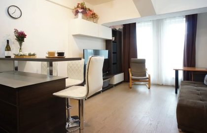 למכירה בפראג 7 דירת 2+KK בגודל 43 מ"ר