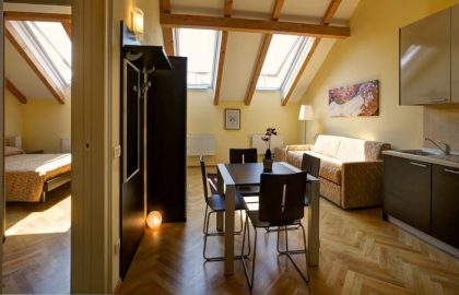 למכירה דירת 3 חדרים מפוארת מיועדת לתיירות בפראג 2